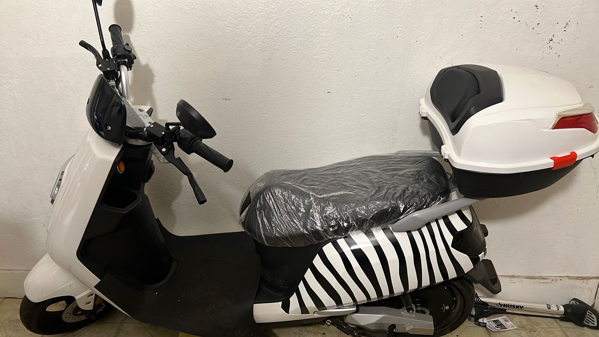 Zebra Moped Black And White