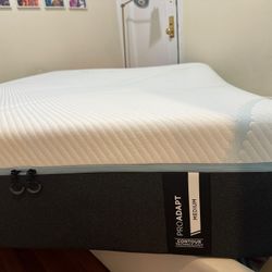 DEAL! Tempur-ProAdapt Queen Mattress 