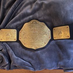 Big Gold World Heavyweight Championship (2013) 