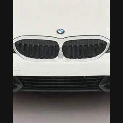 Original BMW chrome Grill 