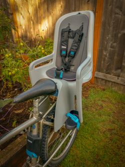 Thule RideAlong Kids Bike Seat