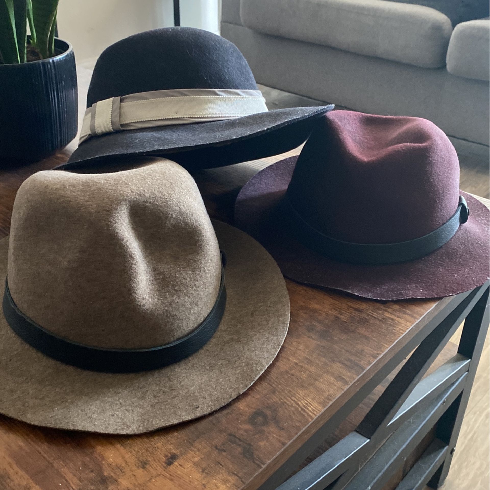 RAG & BONE woman’s Fedoras 100% Wool
