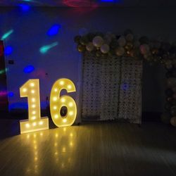 Sweet Sixteen 16 Birthday Sign - Excellent Condition, Used Once..