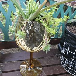 Garden Decoration Whis Plants Succulent, Inside Or Outside 