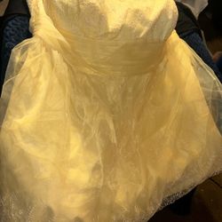 David’s Bridal Gown 