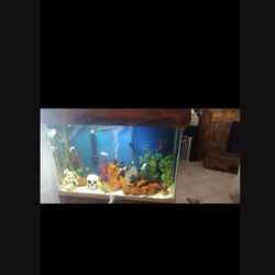 45 GALLON W/ STAND AND HOOD