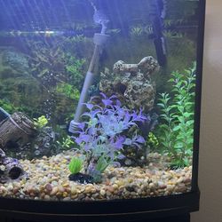 Aquarium