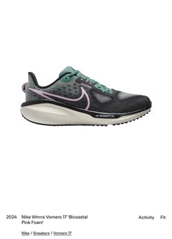 Nike vomero 17