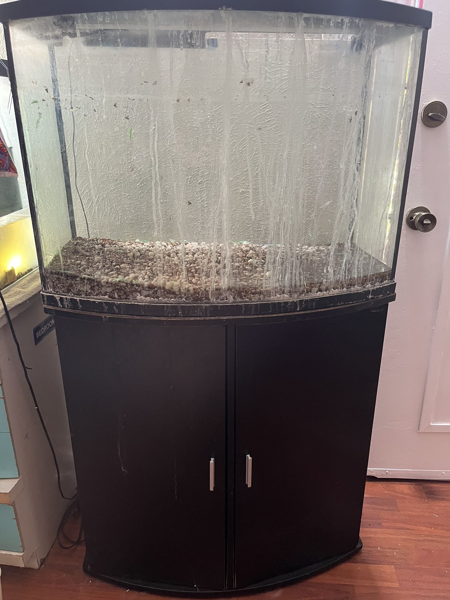 200 Gallon Tank 