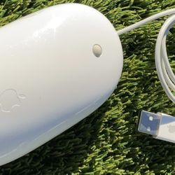 Apple Mouse