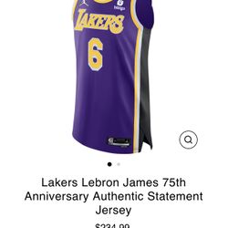 Authentic Lebron James Laker Jersey XL Jordan Brand