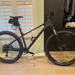Giant XL mountain bike 29