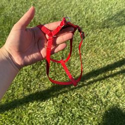 Small Dog Harness 