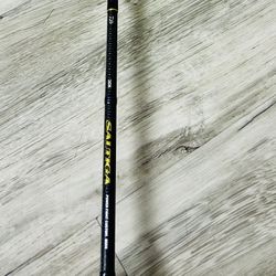 Daiwa Saltiga Jigging Fishing Rod SGP80XH 8’  Max 800g Brand New With Tag $400