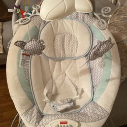 Baby Bouncer