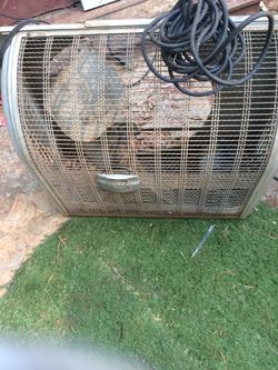 Fan