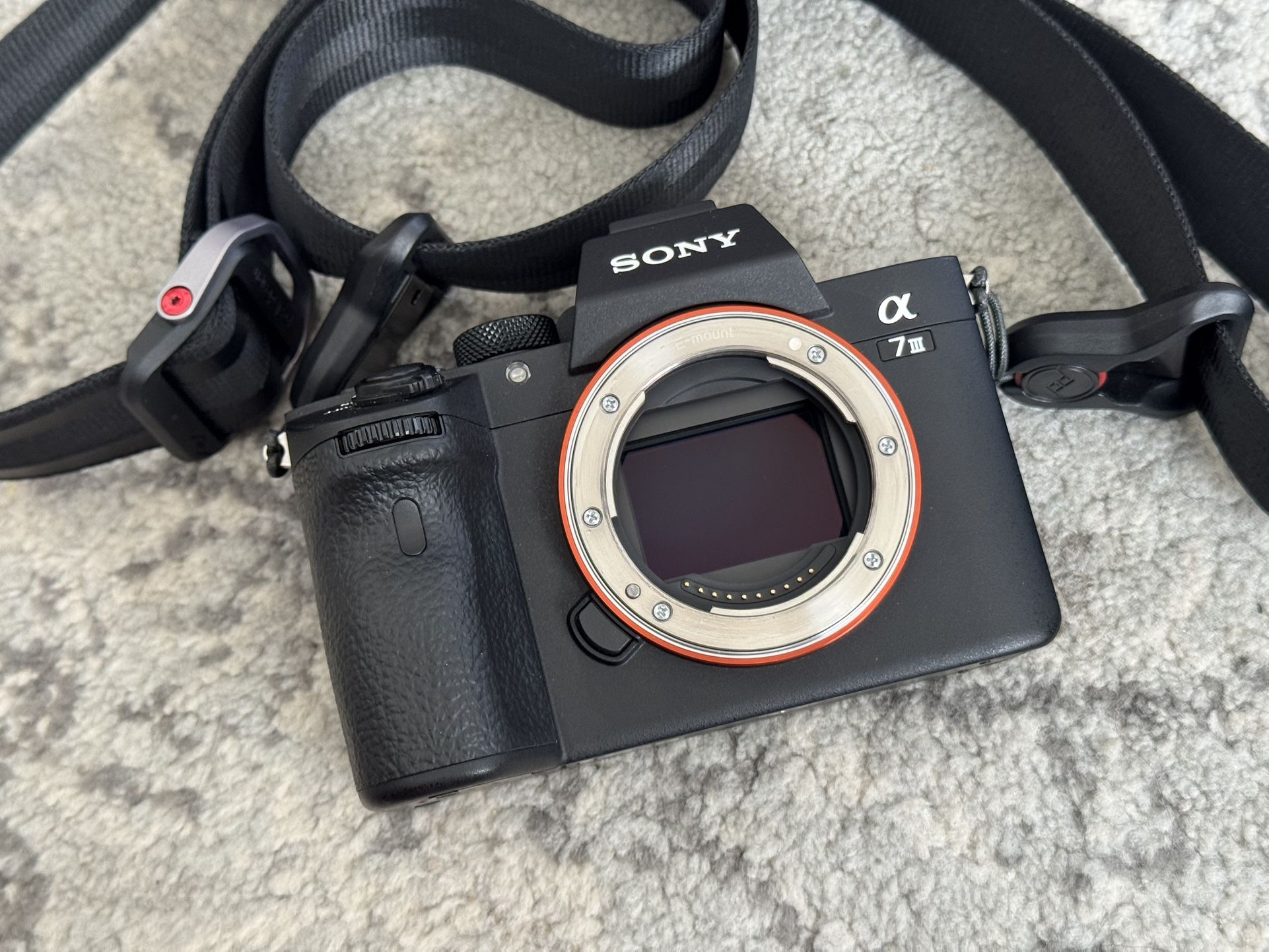 Sony A7 III Full Frame Mirrorless Camera (Body Only)