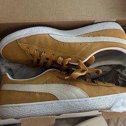 Pumas 