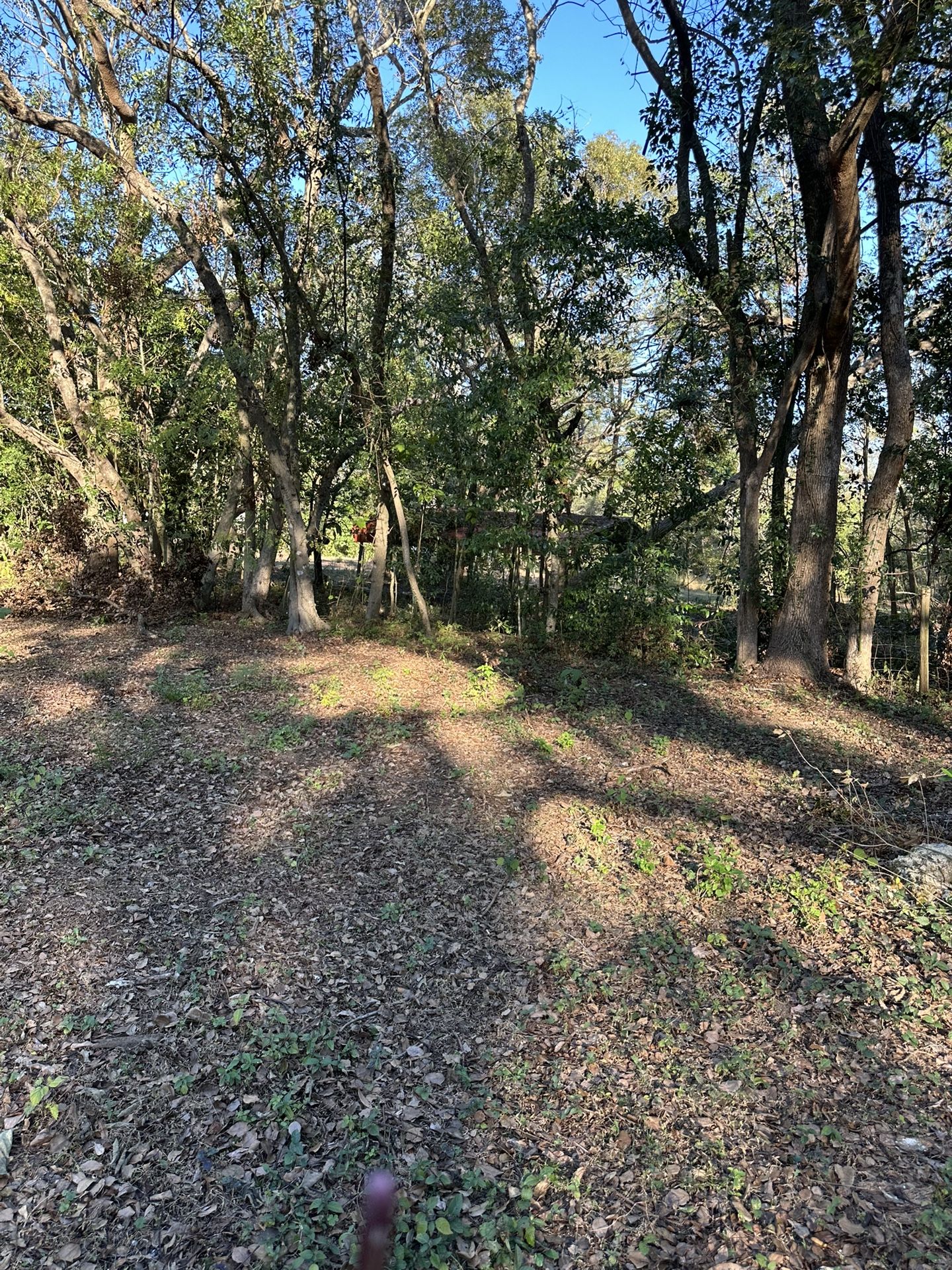 2.5 Acres For Sale Dade City