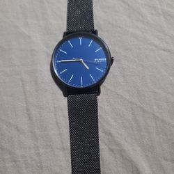 Skagen Signatur Men's Watch