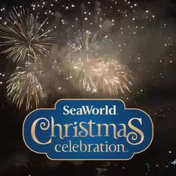 🧨🌊SEAWORLD SAN DIEGO 🧨🌊