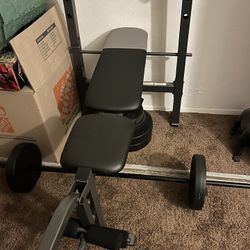 Weight Bench 10,15,25 Pounds 3 Pairs 