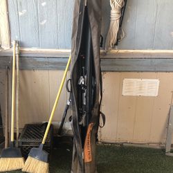 Snow skis with case