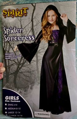 GIRLS SZ 12/14 SPIRIT HALLOWEEN COSTUME