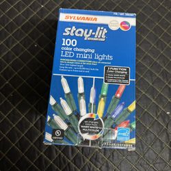 100 color changing LED mini lights