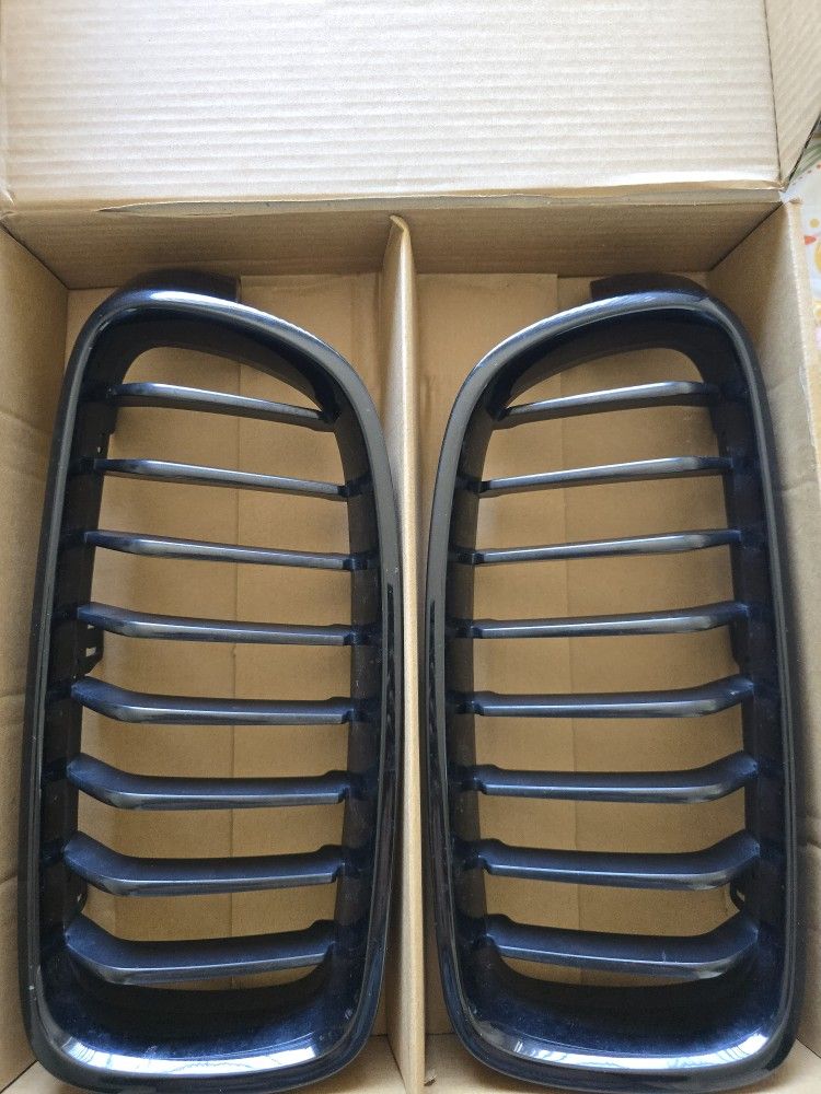Oem Black F30 Grilles