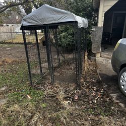 Dog Kennel 