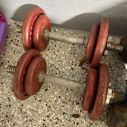 Dumbells (15 lbs) Pair