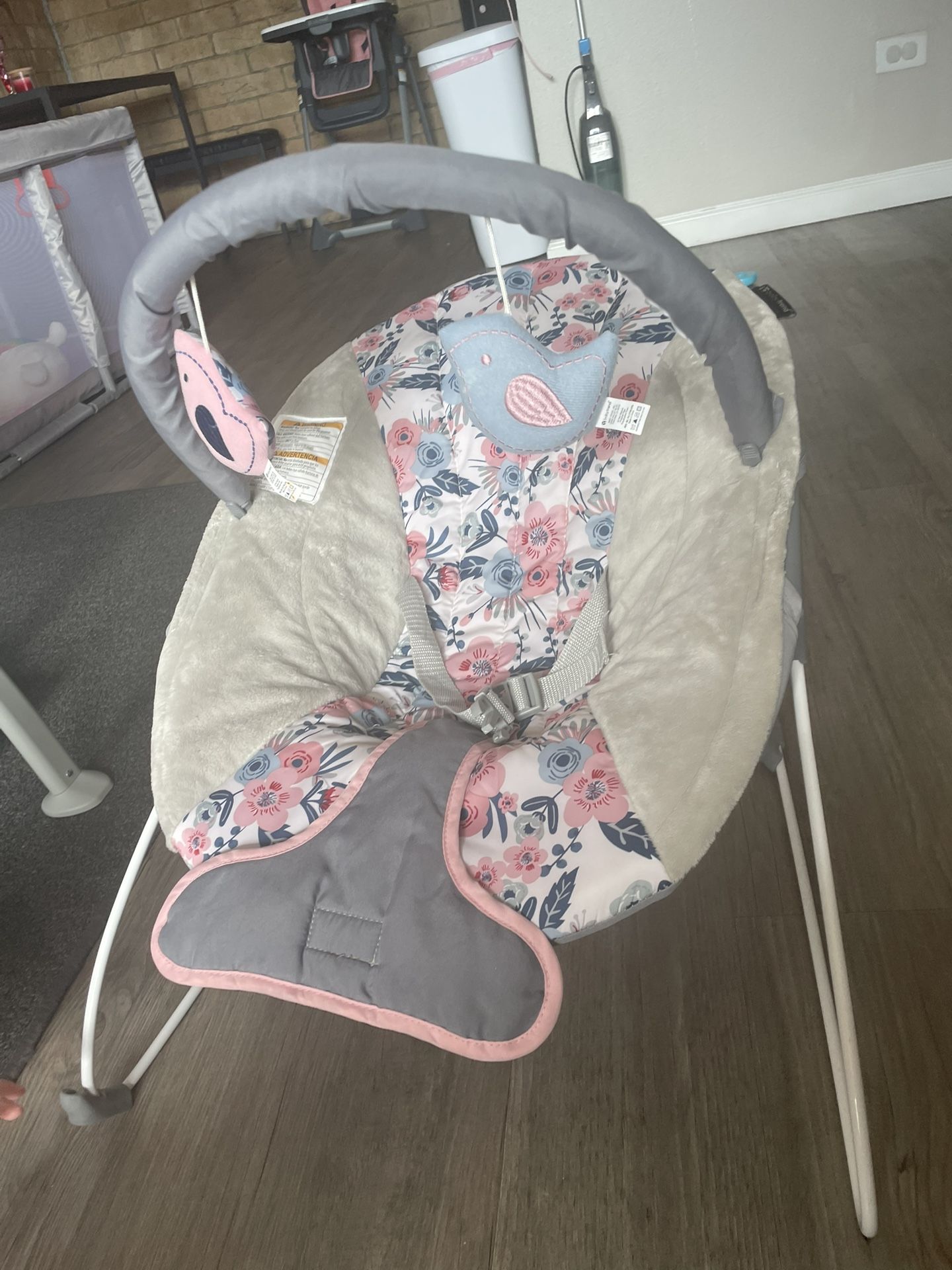 Baby Bouncer