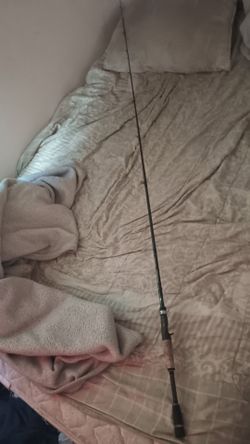 Fishing rod
