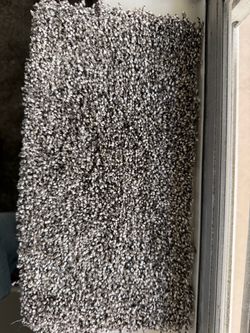 Rooms of Carpet special
