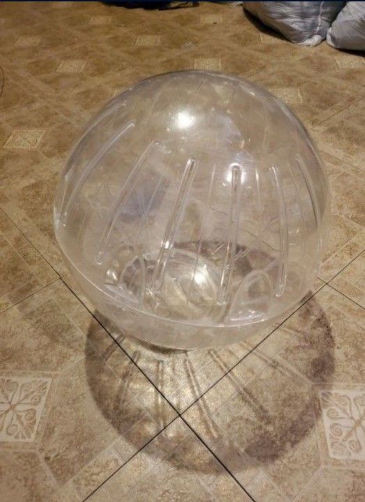 Hamster Ball