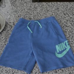 Nike Club Fleece Shorts 