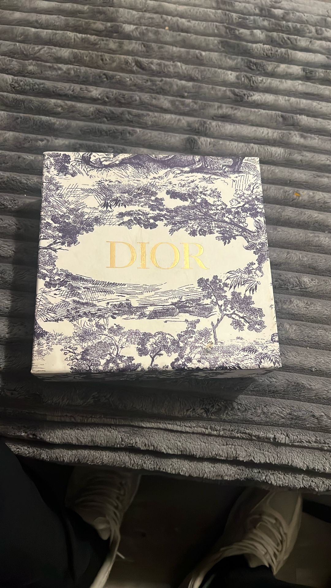 dior belt