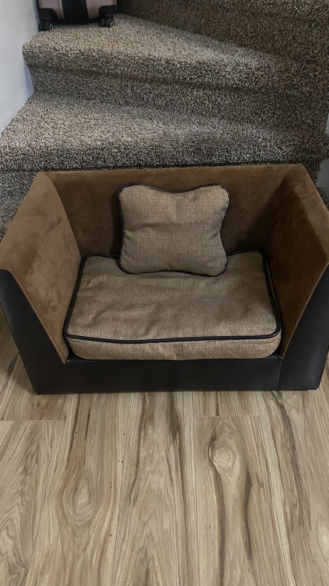 Súper Cute Couch For Pet