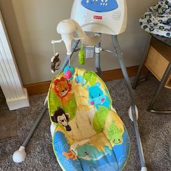 Baby Swing