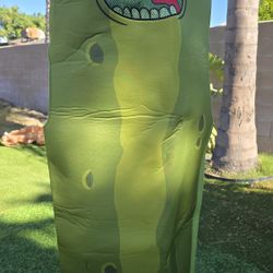 Preowned Pickle Rick Costume