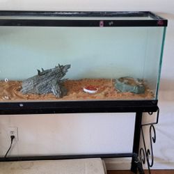 Lizard Fish Tank With Light And Stand
