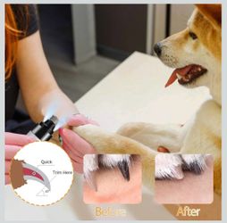 Pro Nail Grinder Cordless with LED Light & 3 Speeds for Dogs and Cats, Dog  Nail Trimmer with 2000mAh Long-Lasting Battery for Thick Nails