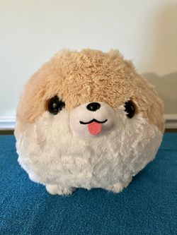 Amuse pomeranian best sale