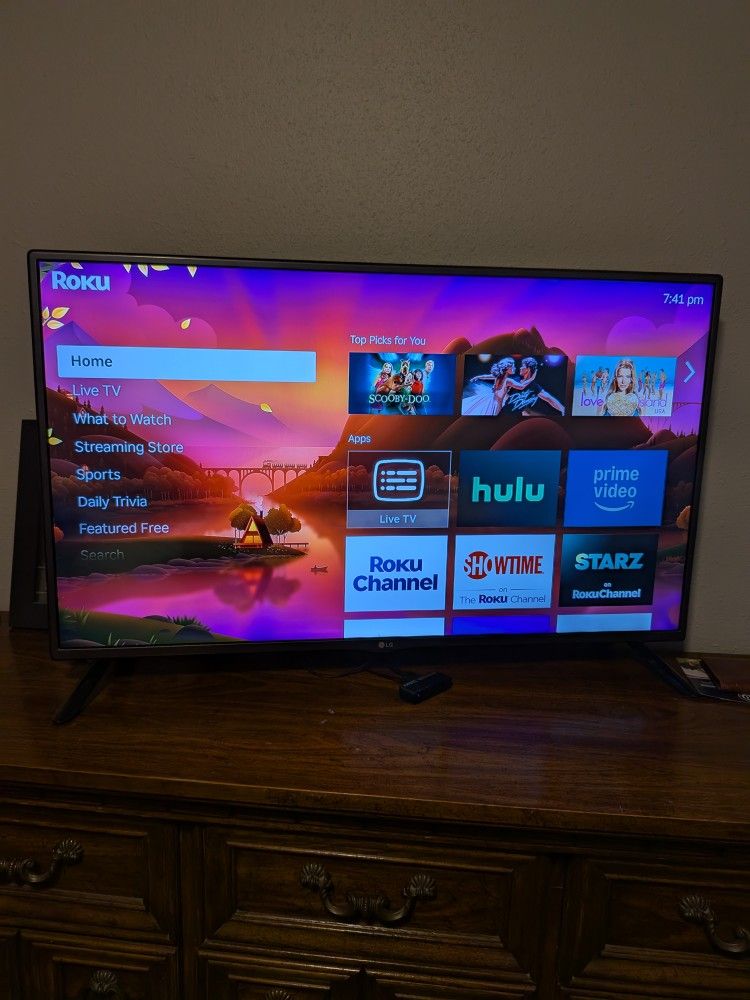 42 Inch LG TV