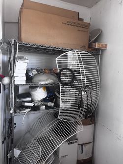 Antenna WiFi network 