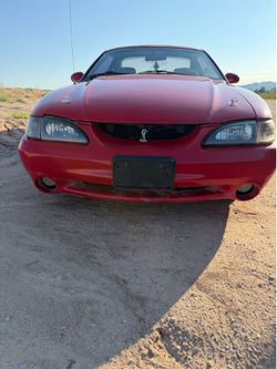 Mustang cobra