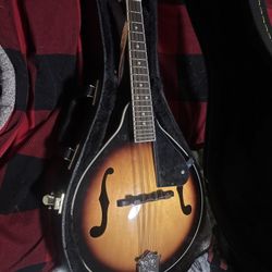 Mandolin 