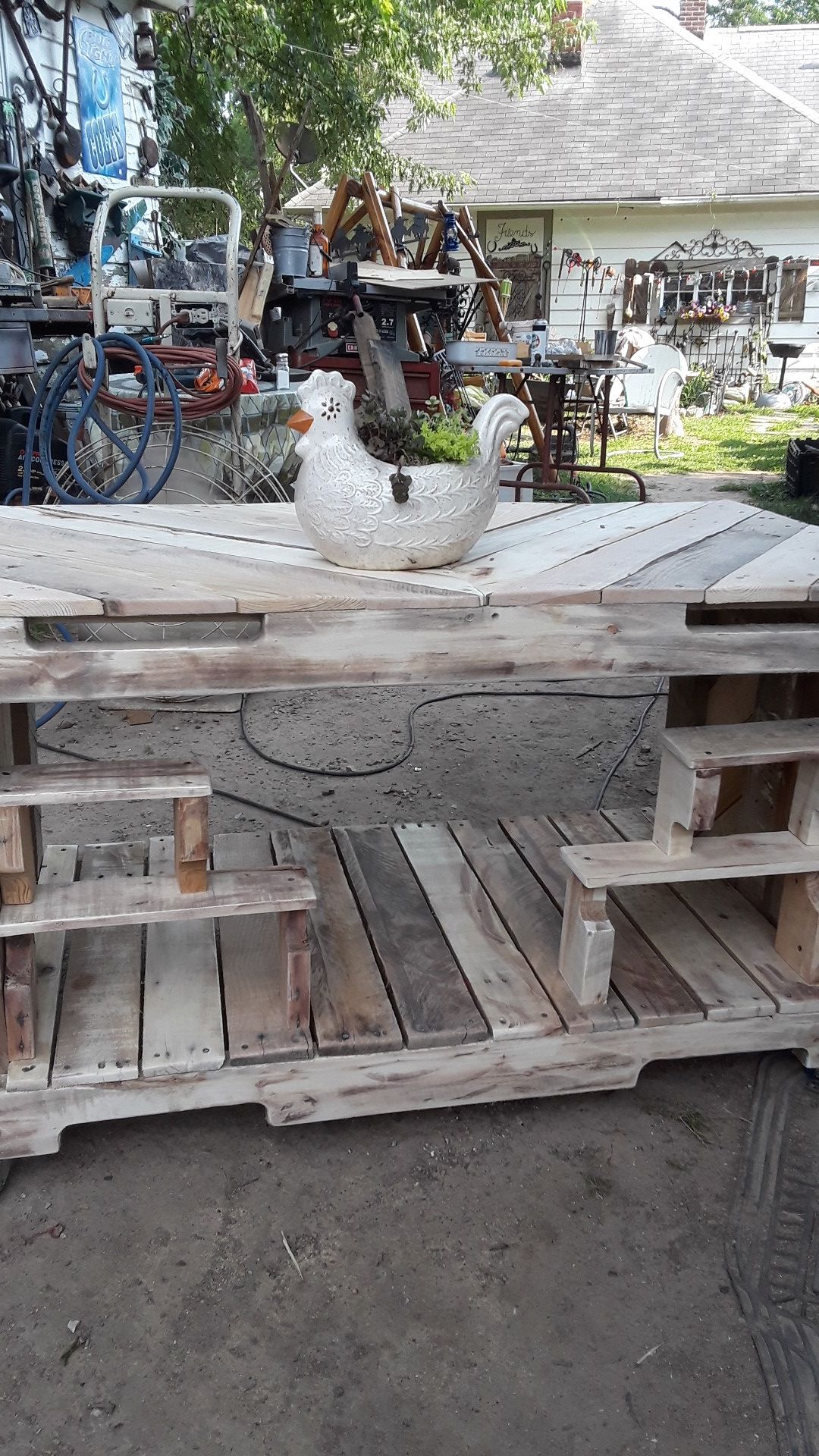 Succulent plants potted in rooster