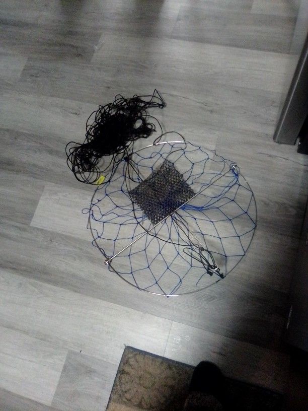 Crab Trap